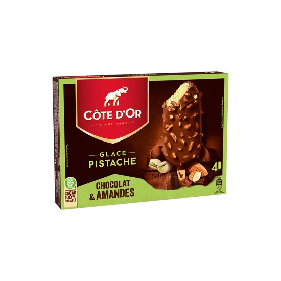 ICE CREAM COTE DOR GLACE PISTACHE CHOCOLATE&AMANDES 360ML 90390011