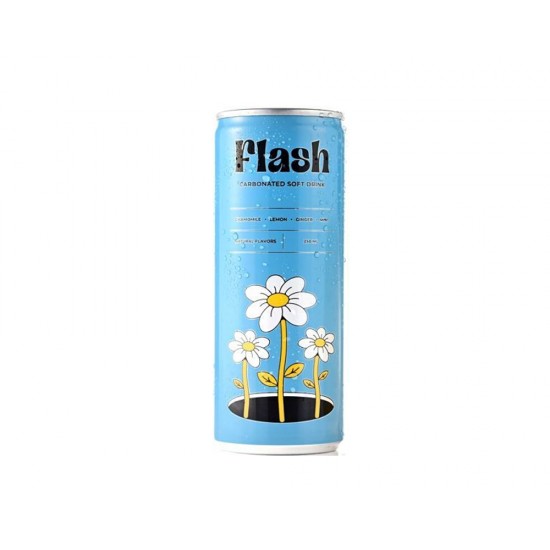 Flash soft drink with natural flavors 250 ml 70740001